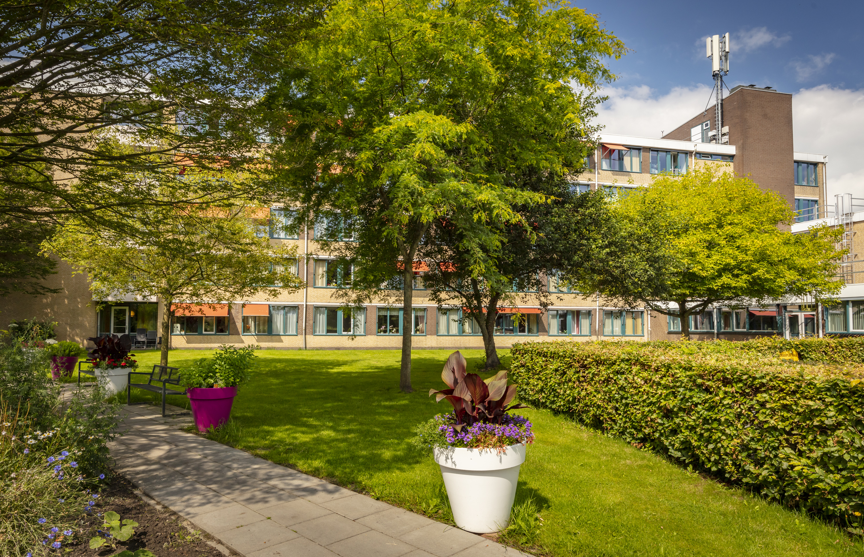 Stichting De Hoven Verpleegunit Damsterheerd